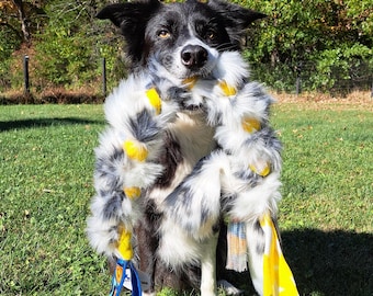 May include: A black and white border collie dog wearing a white and yellow fluffy dog toy around its neck. The dog is sitting on green grass with its head tilted to the side.
