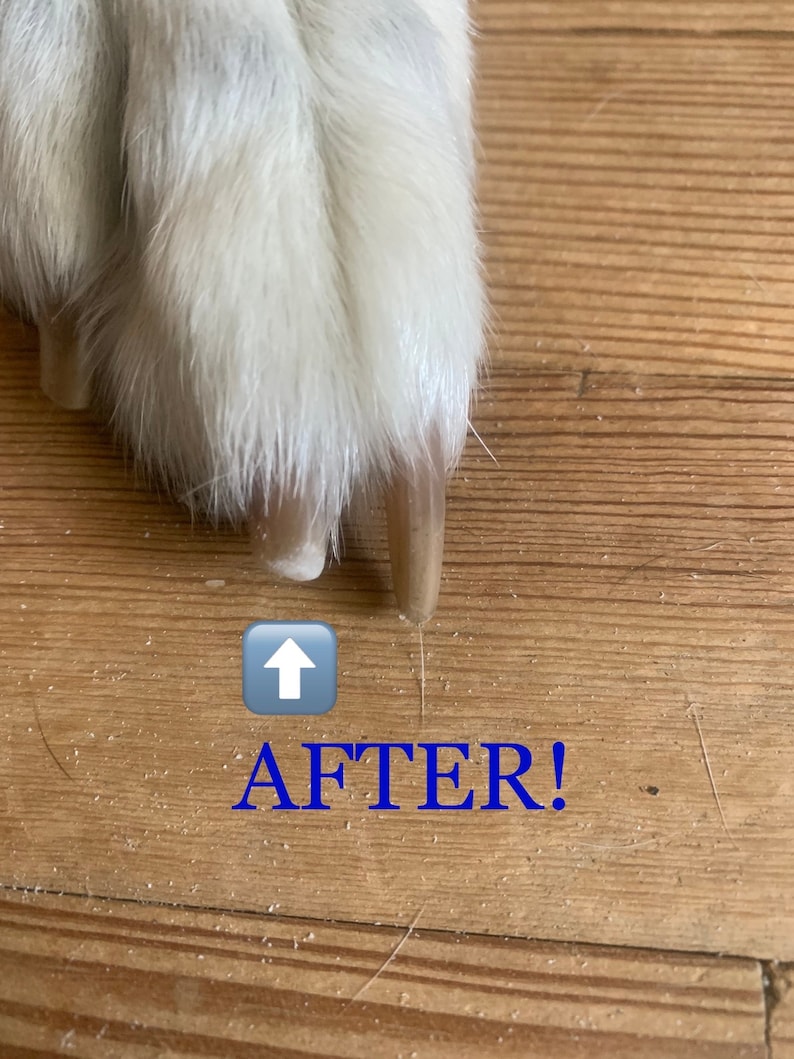 Standard Forever File (3") ~ Knobby Nails image 4