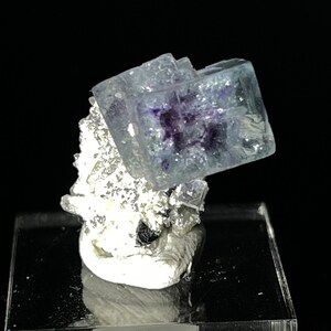 Könnte beinhalten: Ein blauer und violetter Fluoritkristall auf einer weißen Basis. Der Kristall hat eine kubische Form und eine glänzende Oberfläche.