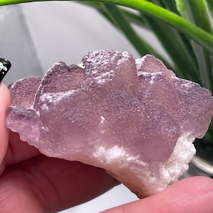 Purple Fluorite Cluster - Navidad Mexico - Genuine - American Seller - Fast Shipping
