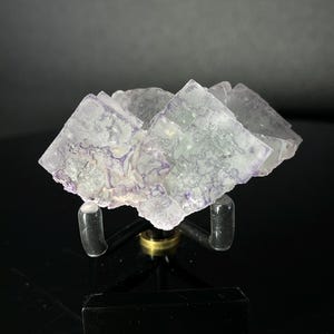 Peut inclure: Un groupe de cristaux de fluorine clairs avec des nuances violettes et vertes, présentés sur un support noir.