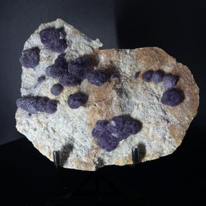 Peut inclure: Spécimen minéral naturel présentant des amas de cristaux de fluorite violet foncé sur une matrice rocheuse beige et blanche. Les cristaux de fluorite ont une couleur riche et saturée et sont bien définis. La roche est exposée sur un support noir.