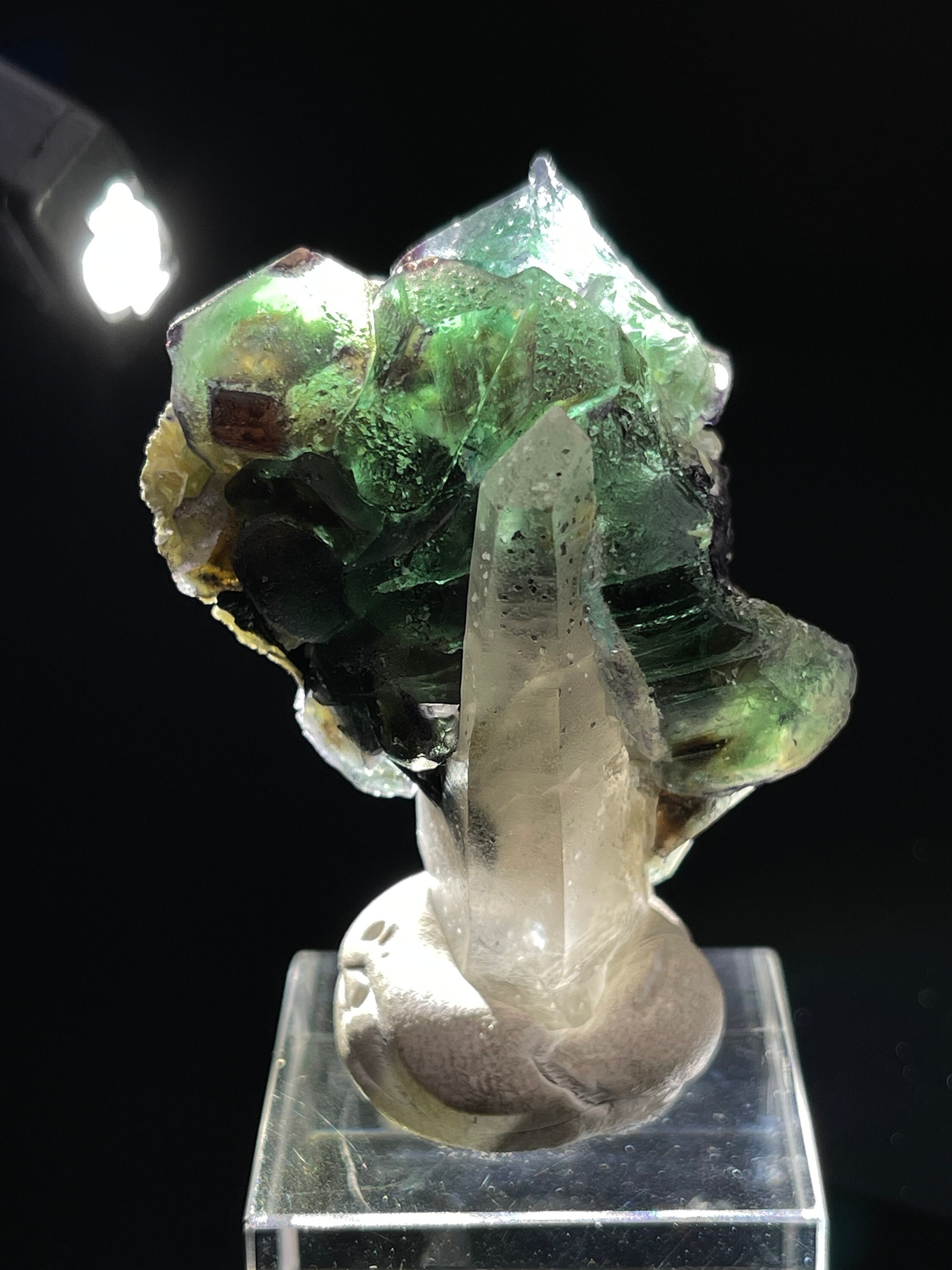 Alien eye fluorite - Etsy 日本