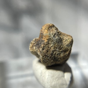 May include: A small, brown, irregularly shaped rock with a rough texture.