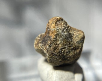May include: A small, brown, irregularly shaped rock with a rough texture.