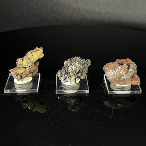 Op de afbeelding: Drie kleine mineraalmonsters op displaystandaards. Het eerste monster is een cluster van gele kristallen, het tweede is een cluster van grijze kristallen en het derde is een cluster van bruine kristallen.