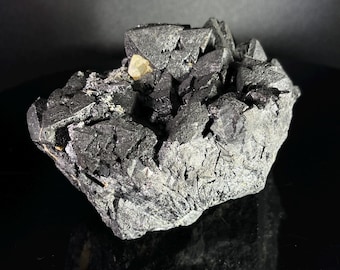 Grupo de magnetita con apatita amarilla / Utah, EE. UU. / Vendedor estadounidense / Envío rápido