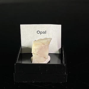 Puede incluir: Un pequeño espécimen de ópalo blanco en una caja de exhibición negra con una etiqueta blanca que dice "Ópalo".