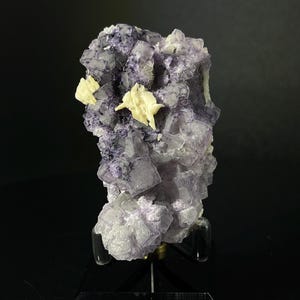Peut inclure: Un groupe de cristaux de fluorine violets avec des cristaux de barytine blancs sur un support noir. Les cristaux de fluorine sont cubiques et ont un éclat vitreux. Les cristaux de barytine sont tabulaires et ont un éclat nacré.