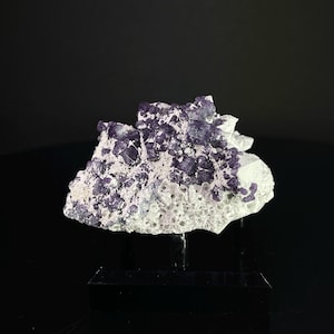 Peut inclure: Un amas de cristaux de fluorine violet et blanc sur un support noir. Le cristal est un spécimen naturel avec une surface rugueuse et texturée.