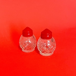 Decorative Clear Glass Round - Salt & Pepper Shakers - Vintage