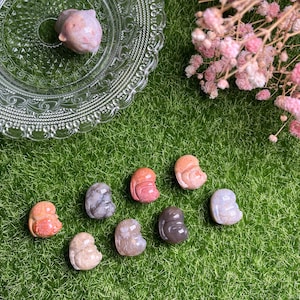 May include: Nine small, carved stone figurines of sleeping animals, each with a different color and pattern. The figurines are arranged on a green grassy surface.