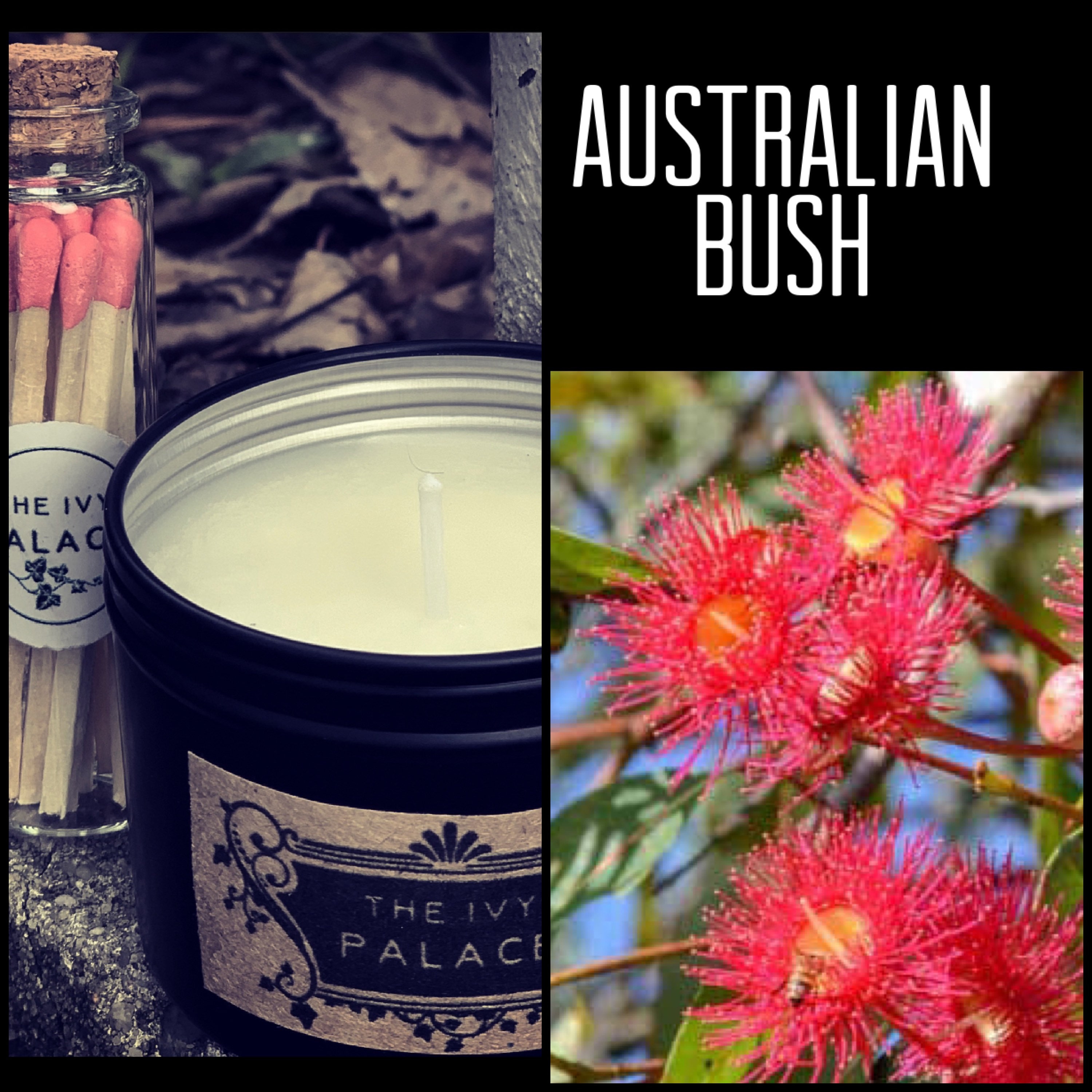 Australian Bush Soy Wax Candle Hand Poured Strong Scent Etsy UK