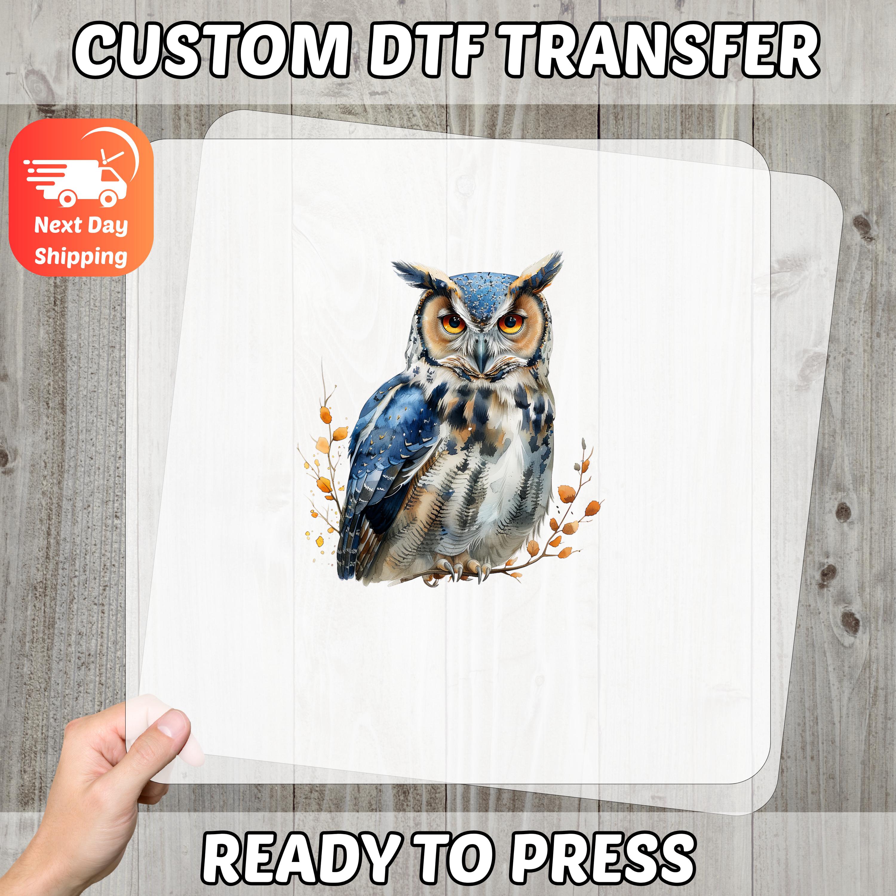 Realistic Owl Nature DTF Transfer for Birdwatcher Apparel Ready to Press Iron-On for Educational Out