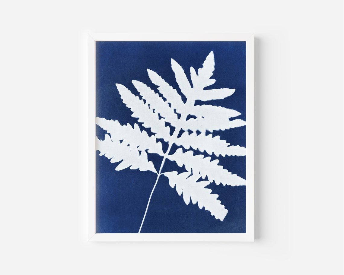 Fern Cyanotype Blue Printable Instant Download Image Etsy