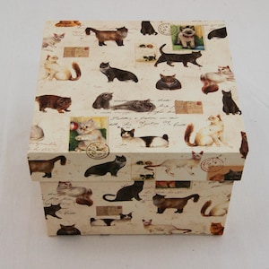 Pode incluir: Caixa de presente quadrada com fundo creme, adornada com ilustrações de gatos em várias poses e cores. O design incorpora uma estética de postal vintage. Ideal para pequenos presentes, a caixa mede aproximadamente 20 cm x 20 cm.