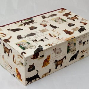 caja con tapa abatible; personalizable; GATOS
