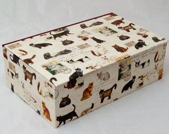 customizable storage box with hinged lid in many sizes CATS