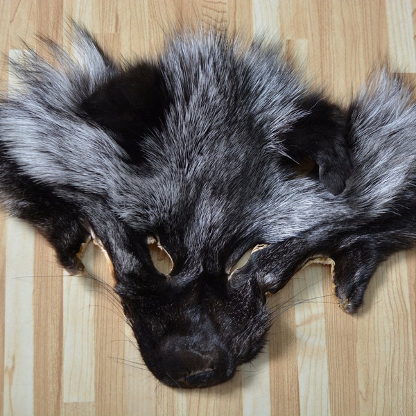 Silver fox head