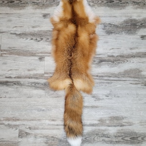 Forest red fox skin / Wild red fox skin