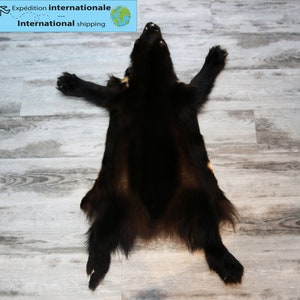 Wolverine Pelt