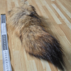 Real coyote tail