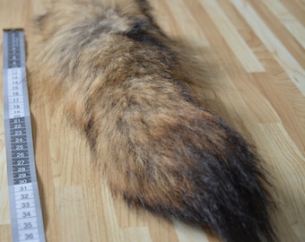 Coyote tail / Coyote tail