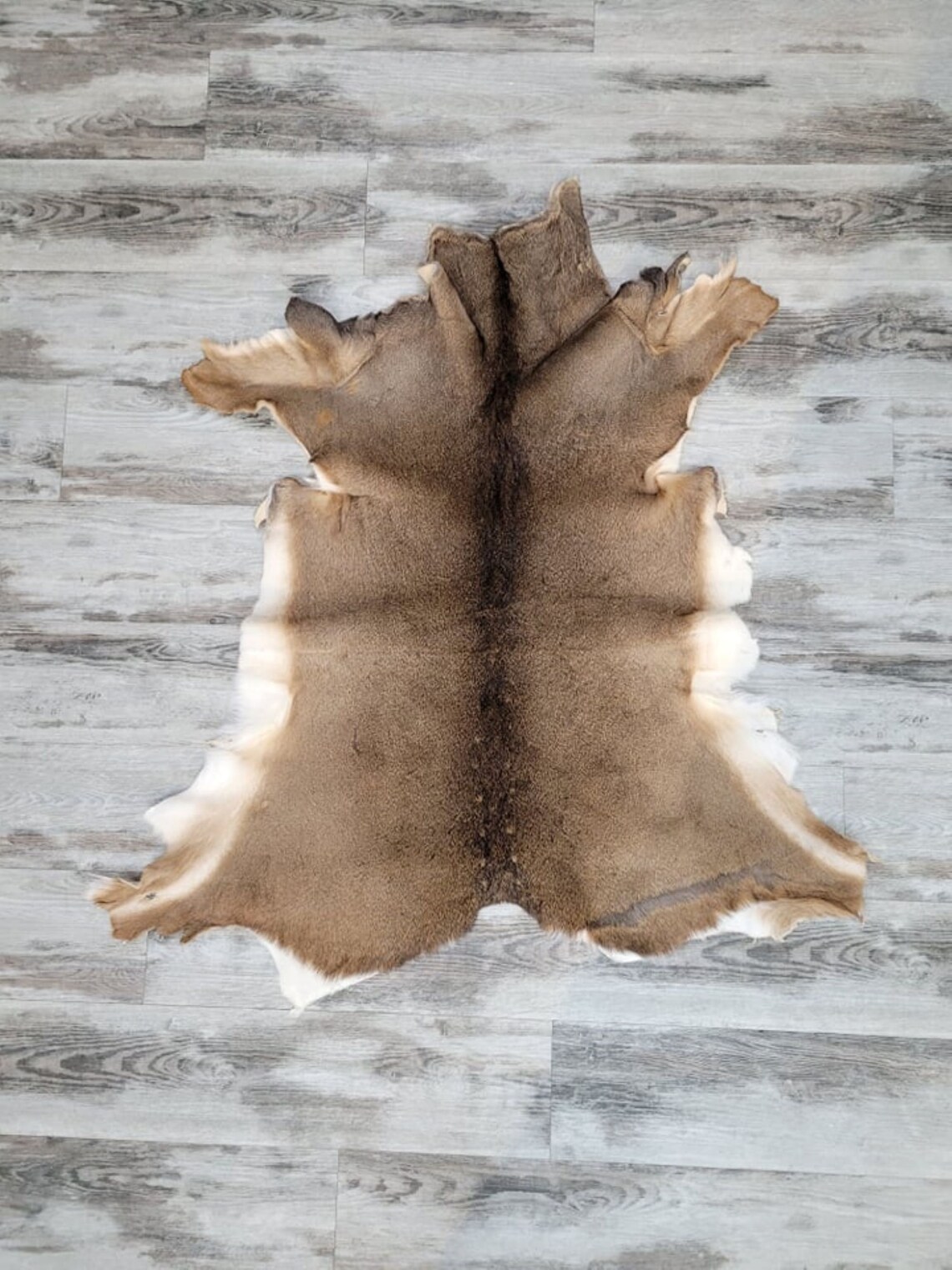 Peau de chevreuil complète / Whole deer skin Etsy