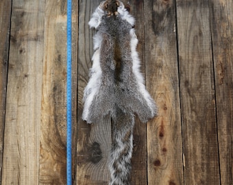 Whole gray squirrel skin