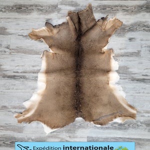 Deer skin / Deer skin