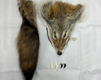 Coyote mix (head, tail, 2 teeth, 2 claws) / Coyote mix (head, tail, 2 teeth, 2 claws)