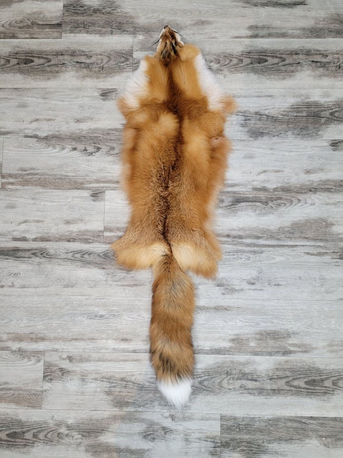 Piel de zorro rojo de Wole Etsy