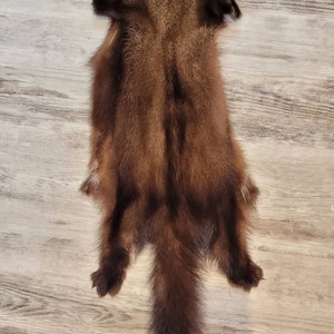 Fisher skin