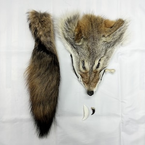 Coyote mix (head, tail, tooth, claw) / Coyote mix (head, tail, tooth, claw)