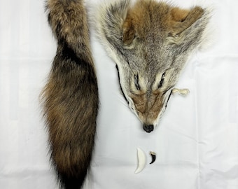 Coyote mix (head, tail, tooth, claw) / Coyote mix (head, tail, tooth, claw)