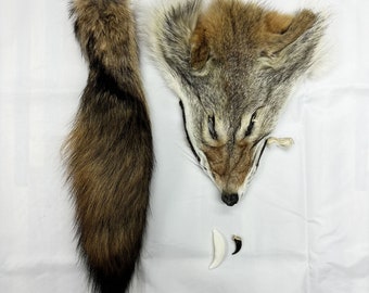 Coyote mix (head, tail, tooth, claw) / Coyote mix (head, tail, tooth, claw)