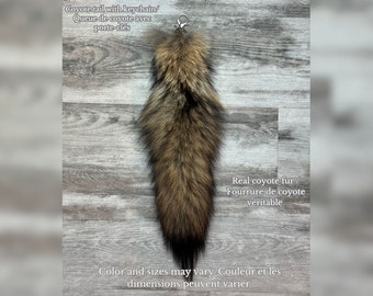 Coyote tail with keychain/Coyote tail with keychain