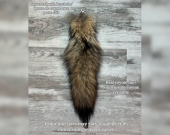 Coyote tail with keychain