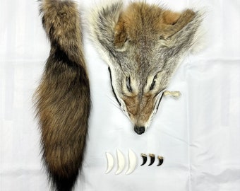 Coyote mix (head, tail, 3 teeth, 3 claws) / Coyote mix (head, tail, 3 teeth, 3 claws)