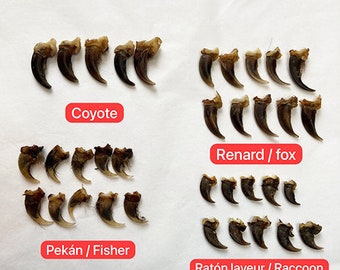 Mix of claws (5 coyote, 10 raccoon, 10 fox, 10 fisher) / Claws mix (5 coyote, 10 raccoon, 10 fox, 10 fisher)