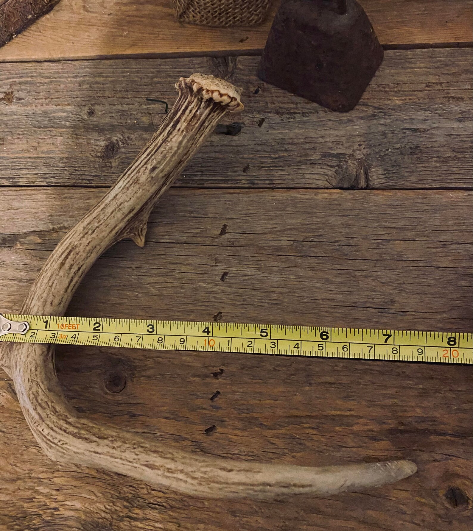 Hirschgeweih Hund kaut Bio Hirsch Geweih Stücke nach Größe Etsy