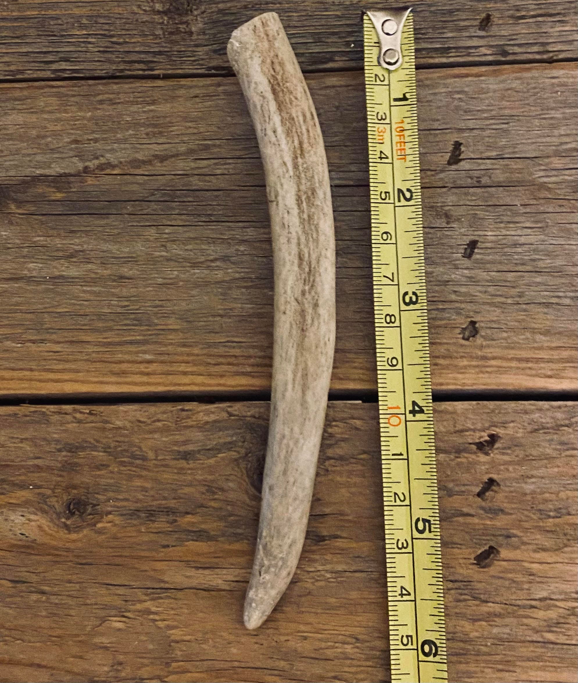 Hirschgeweih Hund kaut Bio Hirsch Geweih Stücke nach Größe Etsy