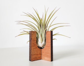 Air Plant Holder for Desk, Table, or Shelf - Air Plant Display Stand - Air Plant Decor - Cute Handmade Wood Air Plant Gift for Plant Lovers