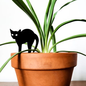 May include: A black cat silhouette plant marker in a terracotta pot with a green plant.