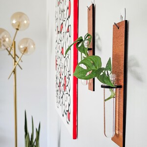 May include: Two wooden wall mounted plant holders with clear glass test tubes. Each holder has a leafy green plant inside.