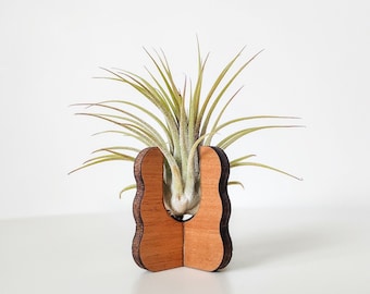 Air Plant Holder for Desk, Table, or Shelf - Air Plant Display Stand - Air Plant Decor - Cute Handmade Wood Air Plant Gift for Plant Lovers