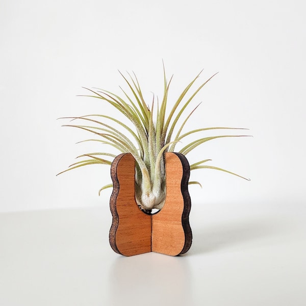 Air Plant Holder for Desk, Table, or Shelf - Air Plant Display Stand - Air Plant Decor - Cute Handmade Wood Air Plant Gift for Plant Lovers