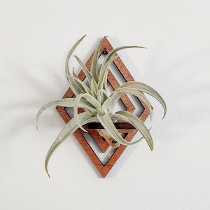 Wall Air Plant Holder Display (Hanging) - Air Plant Hanger - Diamond Geometric Wood Air Plant Wall Decor - Gift Idea for Plant Lovers