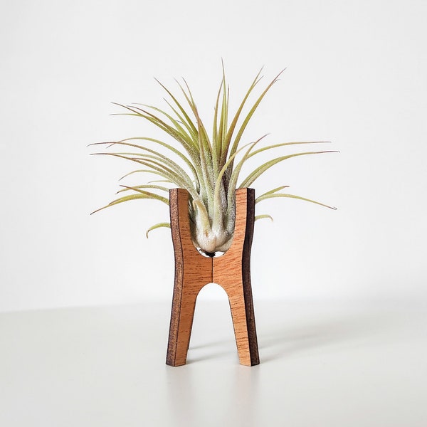 Air Plant Holder for Desk, Table, or Shelf - Air Plant Display Stand - MCM Air Plant Decor - Cute Modern Wood Air Plant Gift for Plant Lover