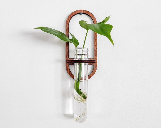 Wall Propagation Station - Modern Minimalist Design - Oval Hydroponic Hanging Wood Test Tube Holder for Propagating Plant Cuttings in Water